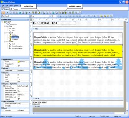 TRichView en ReportBuilder