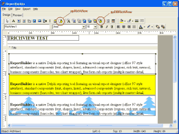TRichView en ReportBuilder
