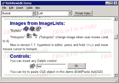 Editor basado en RichView
